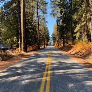 Meet your Posher, Ali